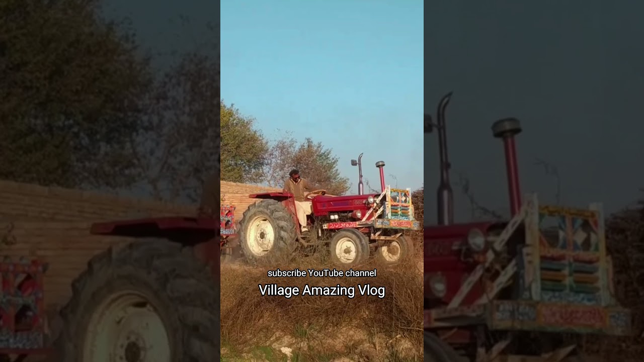 Fiat 640 pulling heavy loaded #shorts #shortvideo #tractorperformance #tractorpulling #powershow