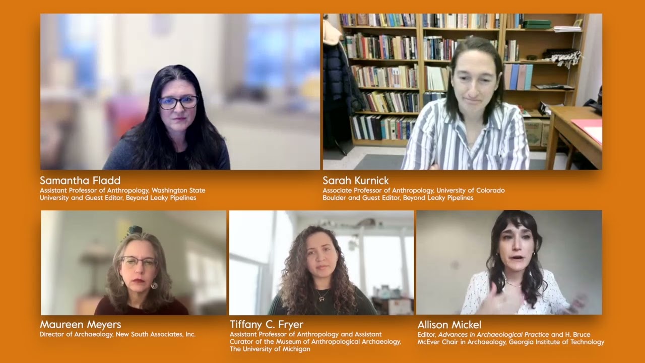 In Conversation with the Guest Editors of ‘Beyond Leaky Pipelines’