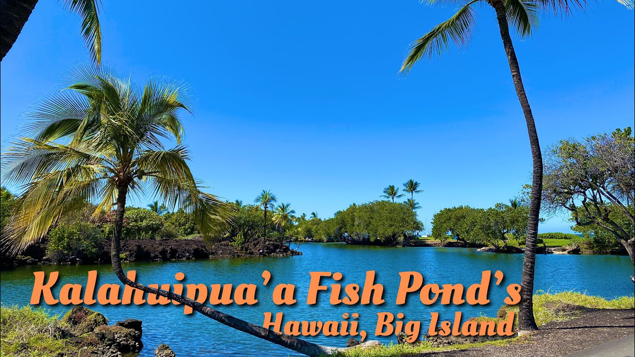 Mauna Lani Bay | Kalahuipua’a Fish Ponds | Kohala Coast | Big Island Hawaii