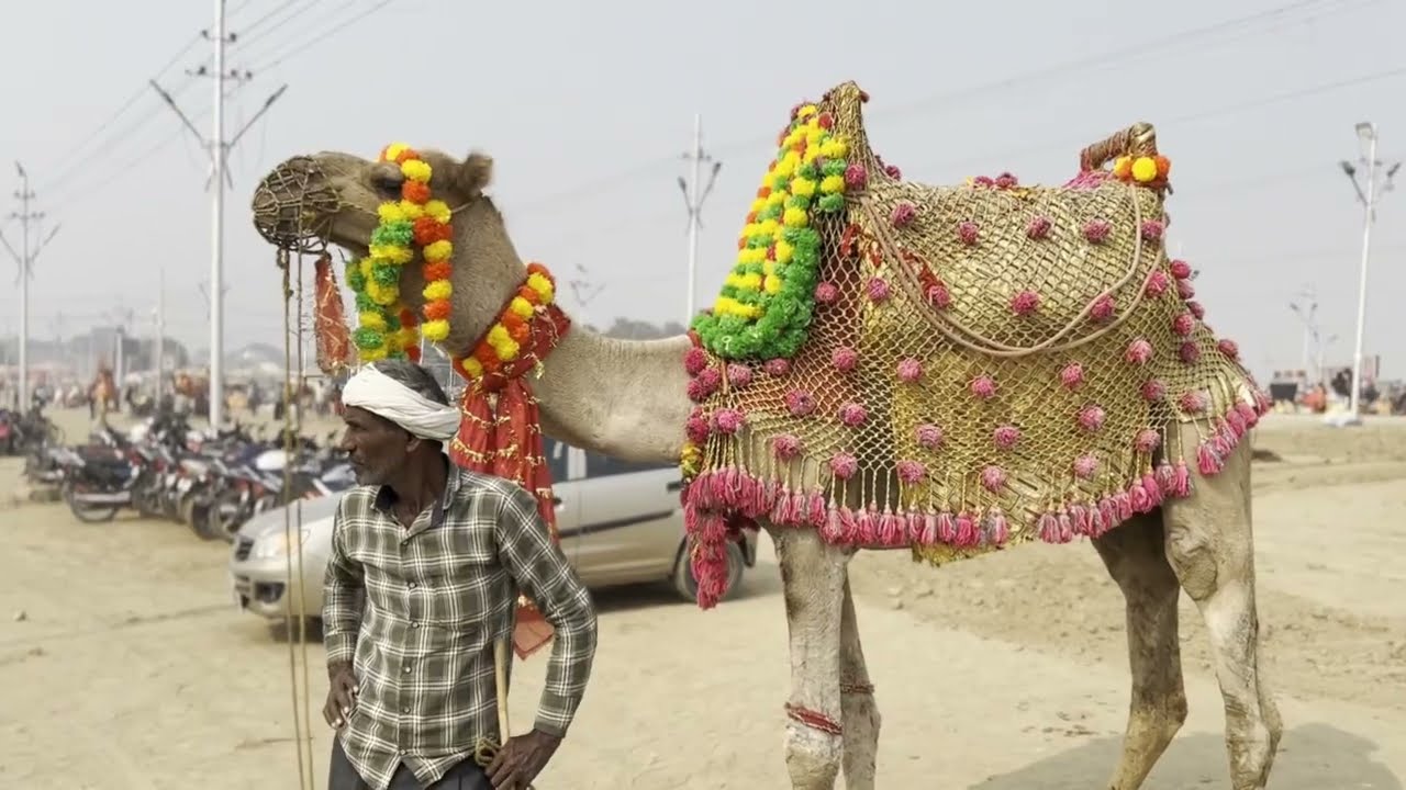 Ajmer | अजमेर के इस जगहें में आपको सबकुछ मिलेगा मात्र ₹300 में 🔥🙈tourist places in Ajmer