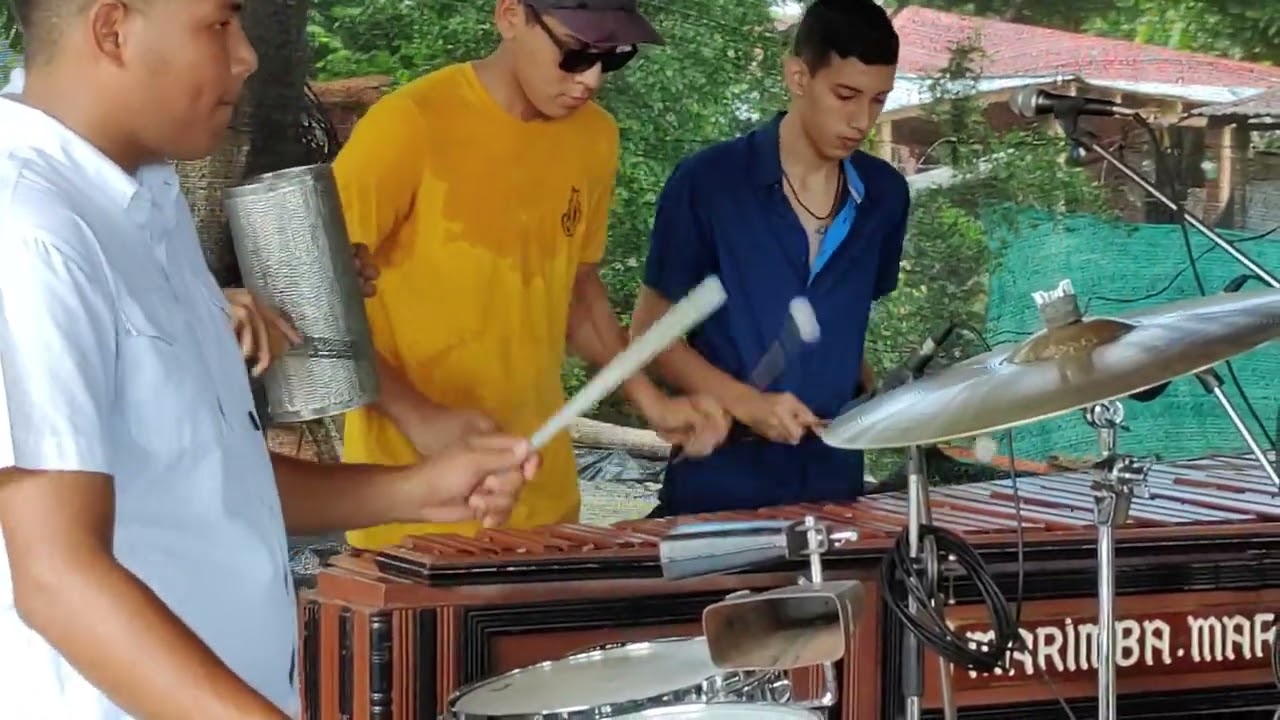 La Pulguita  [Fusión de Orquestas Marimbas]