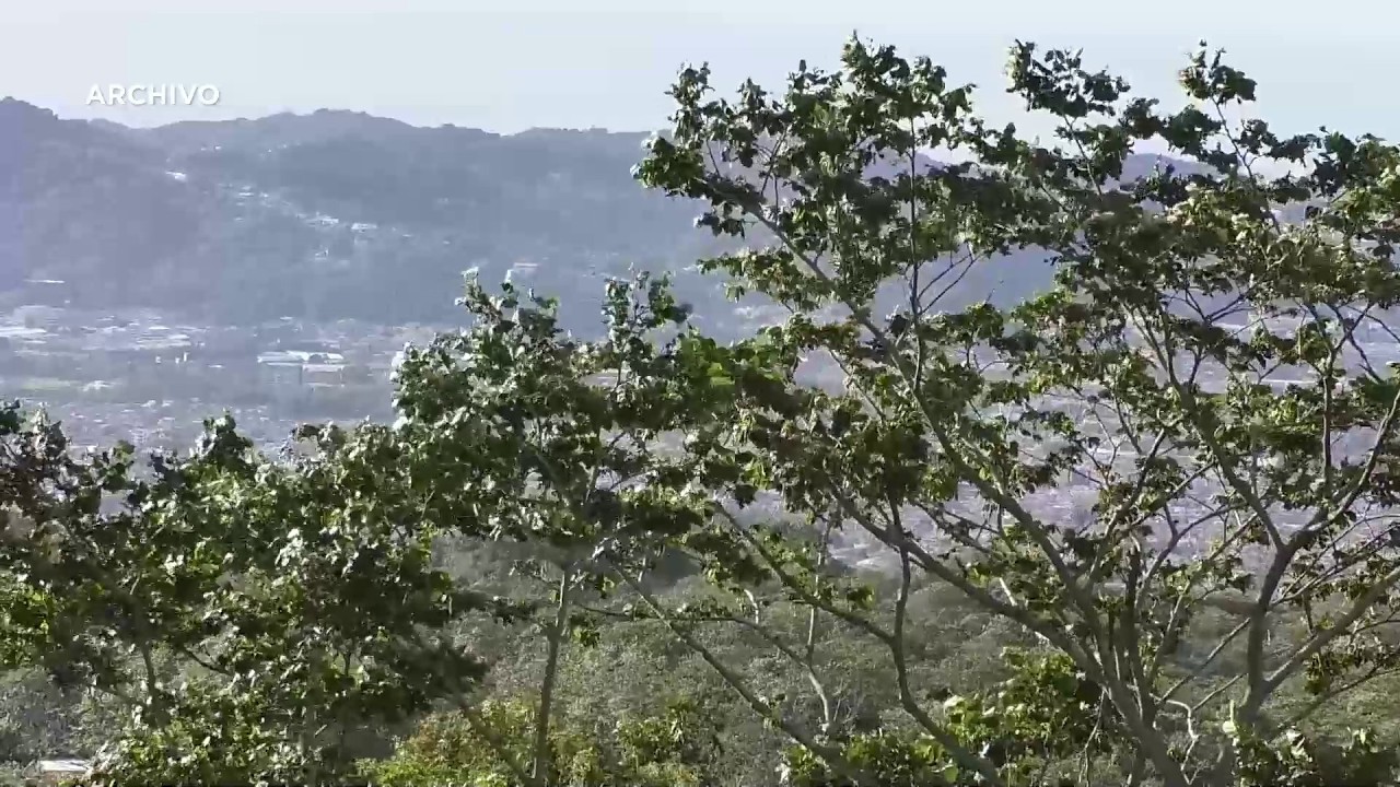 Bajas temperaturas registradas en los últimos días