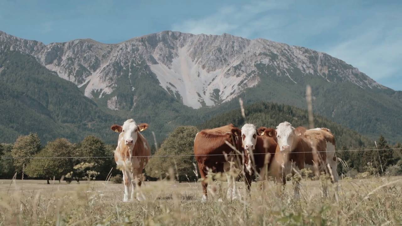 Schneeberg: Lato w g&oacute;rach w Dolnej Austrii