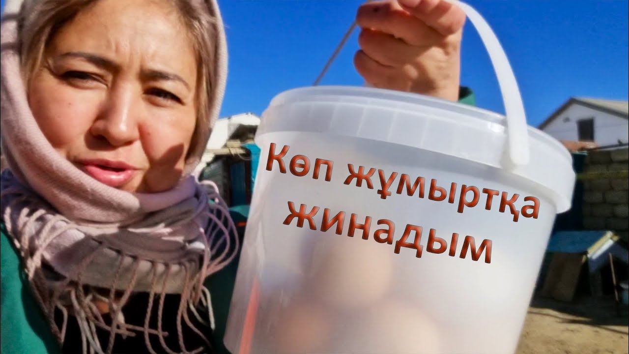 100 қой,100 тауық баққандай болдым