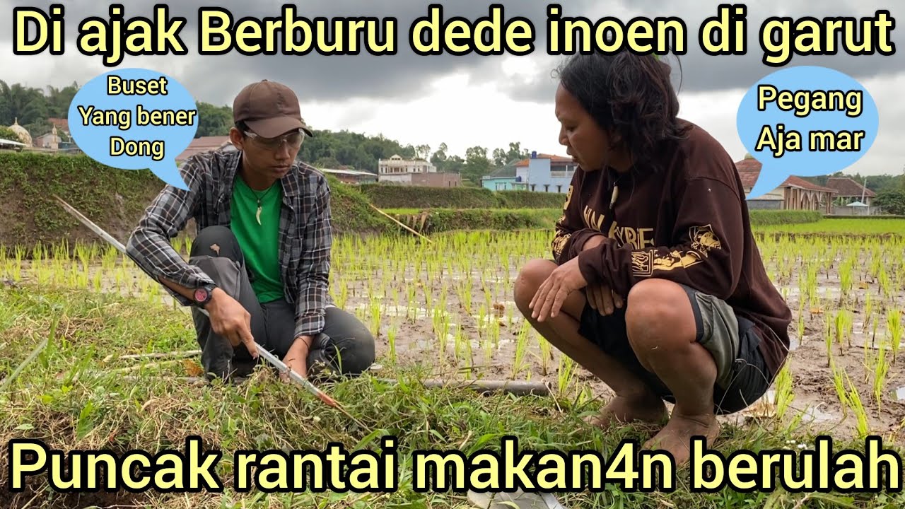 DI AJAK BERBURU DEDE INOEN PUNCAK RANTAI MAKANAN HASIL NYA DI LUAR NALAR SAMPAI GALI LOBANG SAWAH