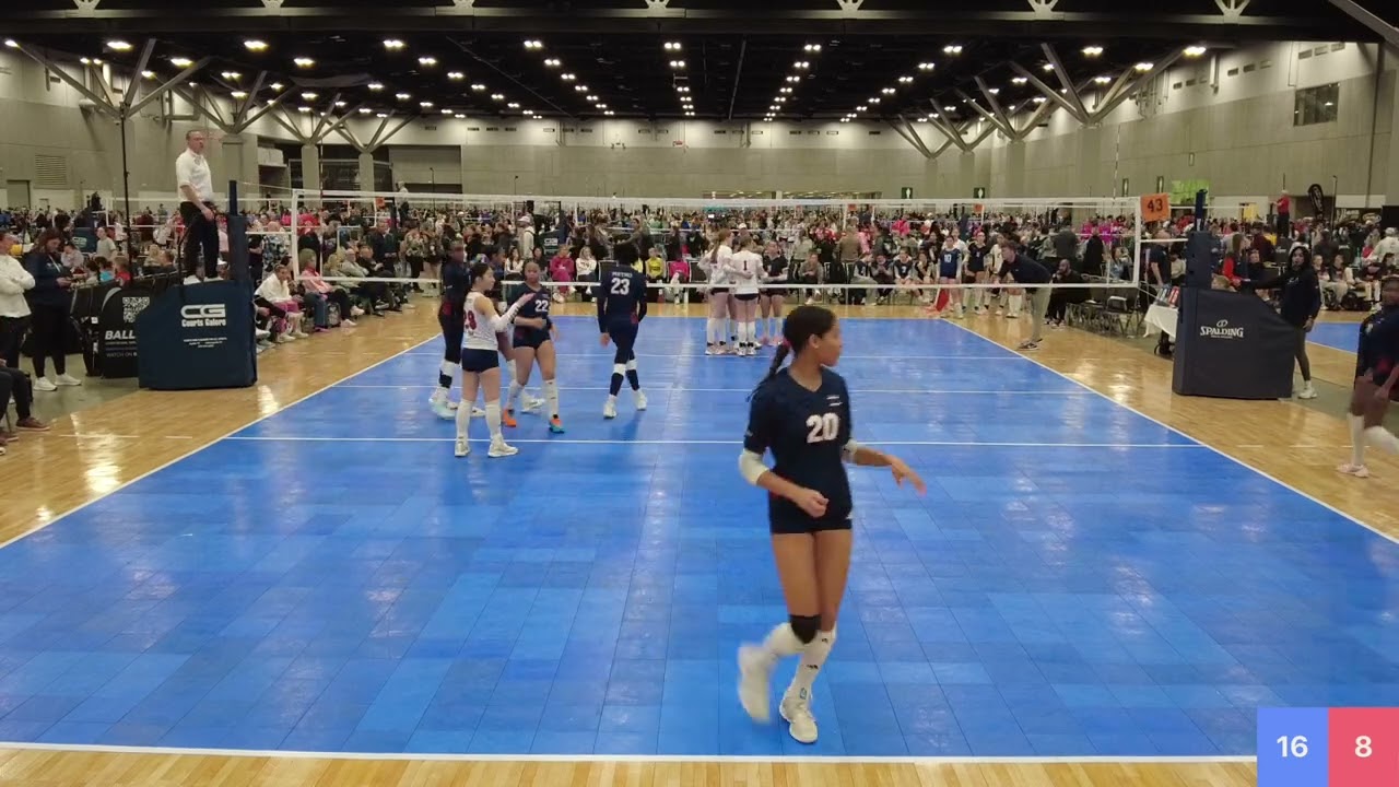 Metro 14T Vs PVA 14 Elite