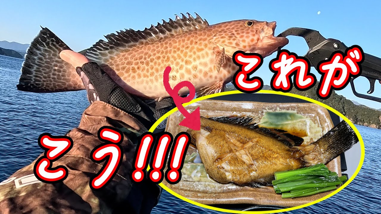 何でもいいから釣る気で行った結果…