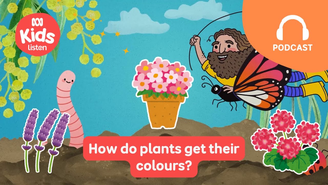 How do plants get their colours? 🌻 | Gardening Australia Junior PODCAST | ABC Kids listen