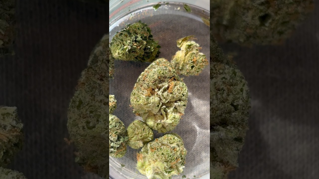 Melonade #8 from Neighborgoods looking proper 👌