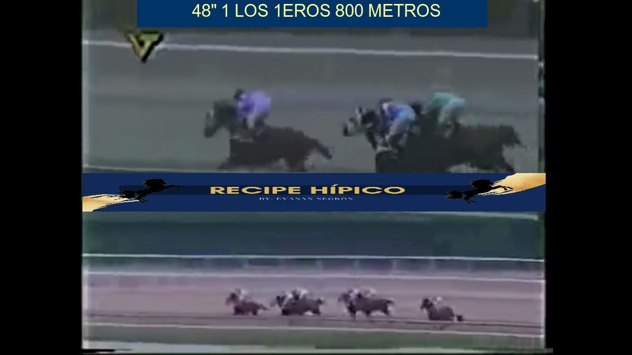 El caballo SCOTT GORDON sobresalio al final y los derroto en el  Clasico Socopo del año 1998.