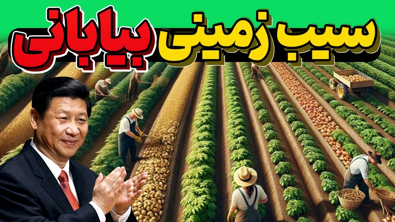 چطور چین در بیابان سیب زمینی کاشت؟ دستاورد عجیب که جهان را شوکه کرد!