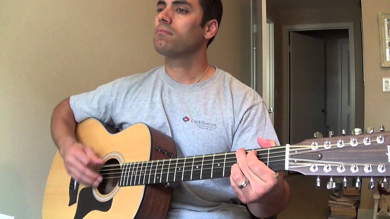 Taylor 12 string Model 356e