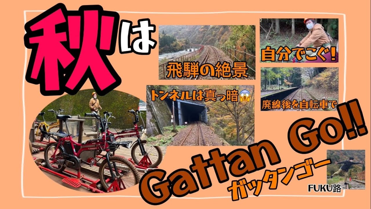 【リピ確定】超人気アクティビティ！秋はガッタンゴー！！