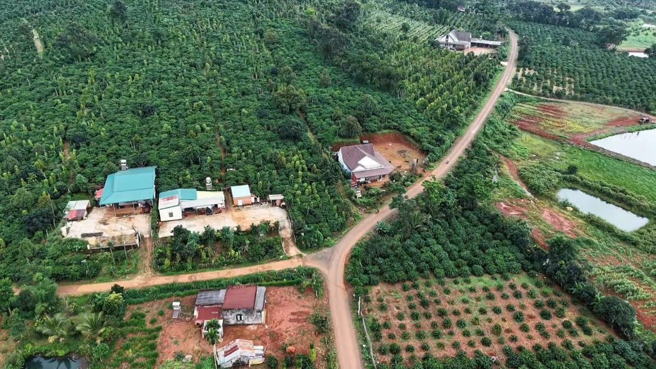 Khai xuân lô đất rẻ giá chỉ 390 triệu tổng diện tích 3 sào,thích hợp nhà vườn Lh sđt 0979.653.223 
