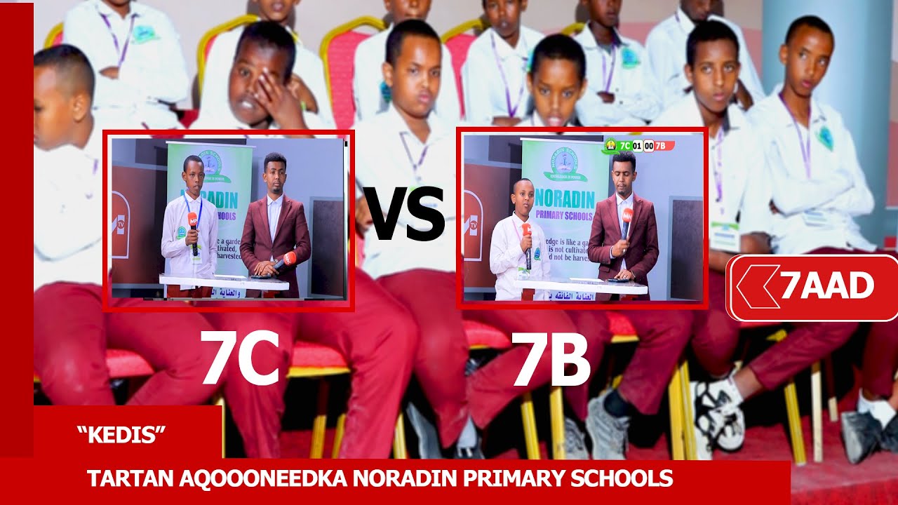 Tartanka Kedis Q-7aad