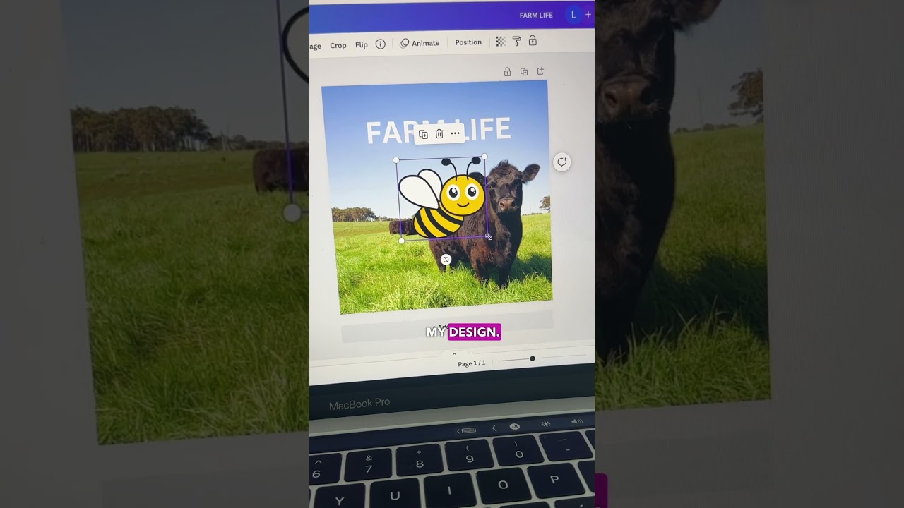 Canva tutorial - how to animate your images