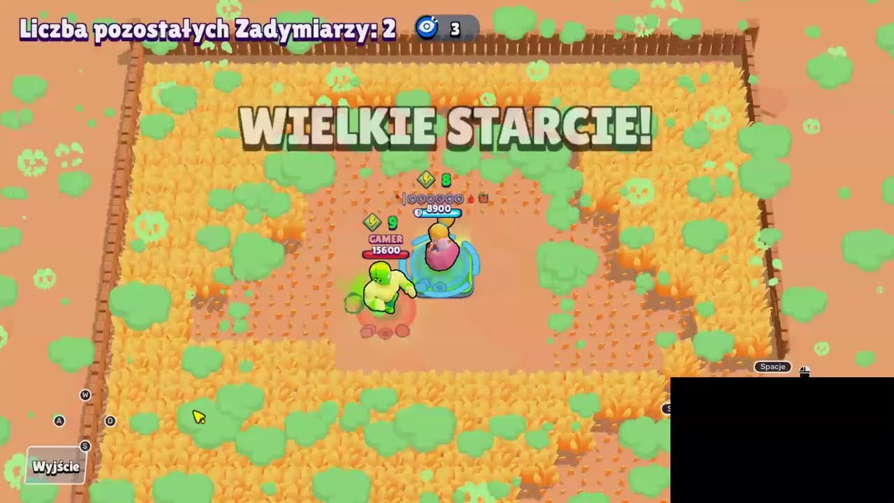 brawl stars top model !!!