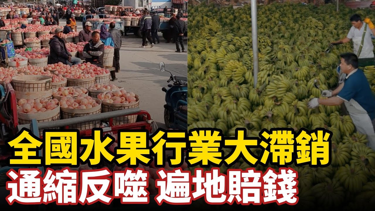 全國水果行業大滯銷，通縮反噬遍地賠錢，香蕉1毛，甘蔗7毛，草莓櫻桃柑橘橙價格大跳水，果農幻想種果致富一夜虧成貧困戶#中国社会