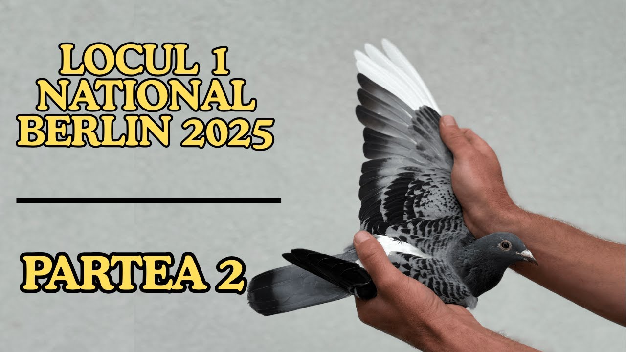Prelipcean Ciprian dezvăluie tot! Berlin 2025 – Partea 2, secrete și sfaturi de de la un Campion !