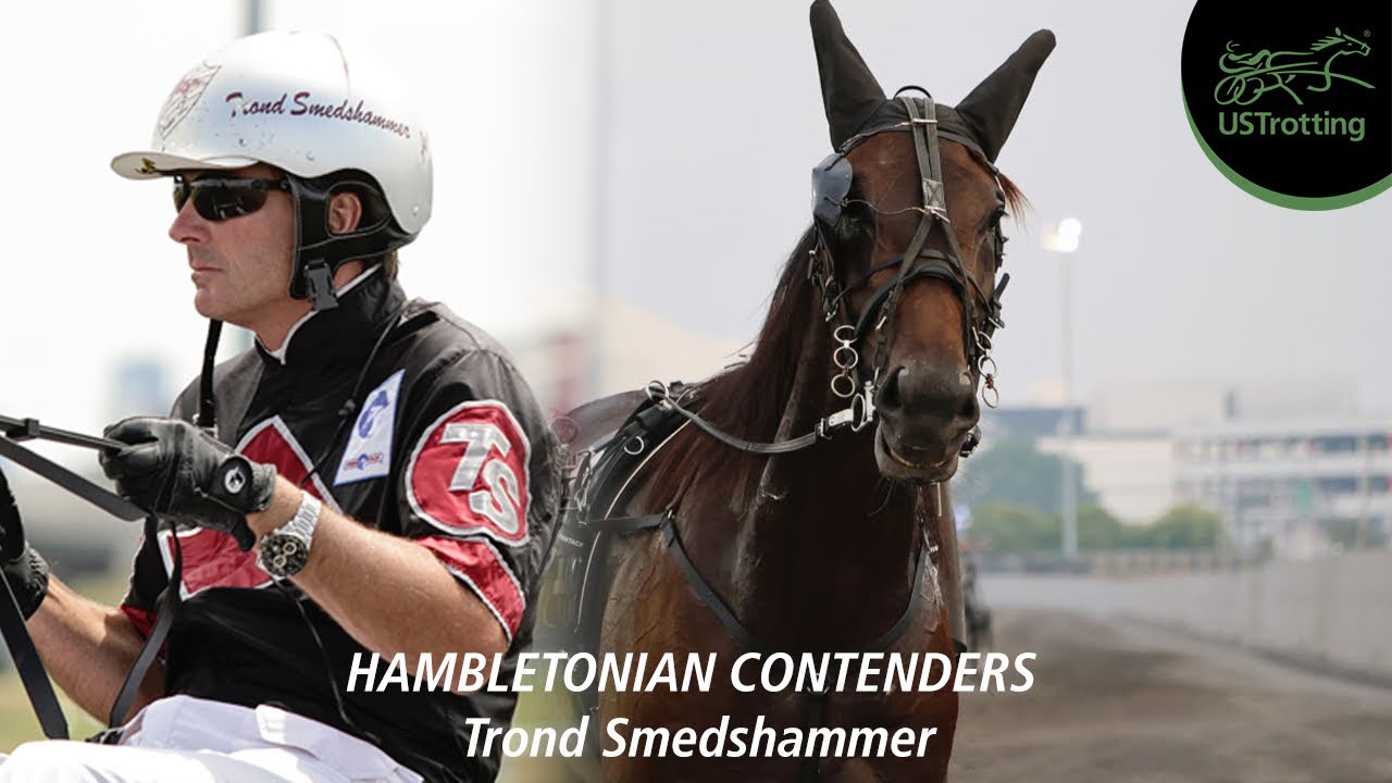 2025 Hambletonian Contenders (Trond Smedshammer) | UsTrotting 