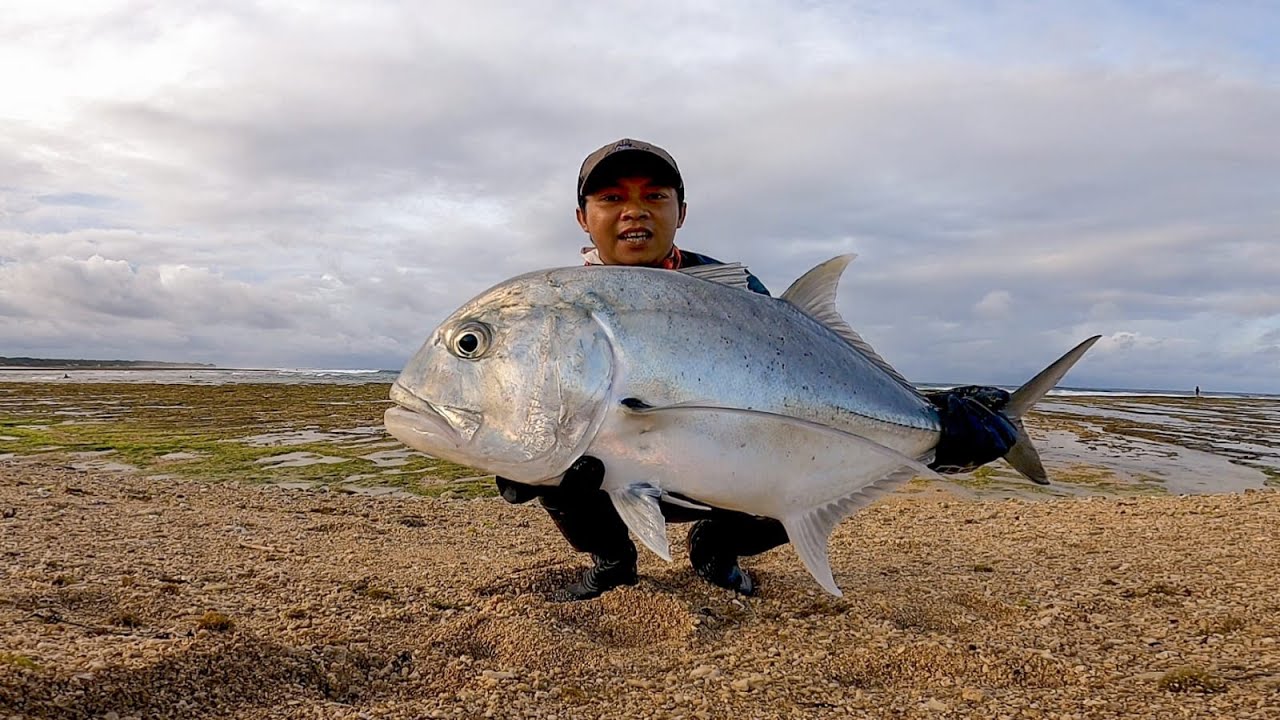 Tarikan Ikan Besar Giant Trevally: Shore Jigging di Pantai Cibuaya Ujung Genteng