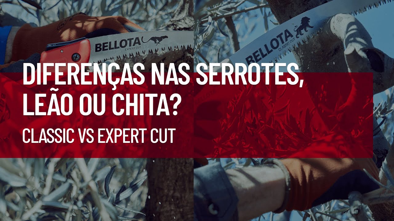 Diferen&ccedil;as nas serrotes, le&atilde;o ou chita?