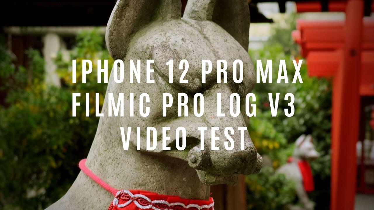 iPhone 12 Pro Max / FiLMiC Pro Log V3 Video Test / Osu, Japan