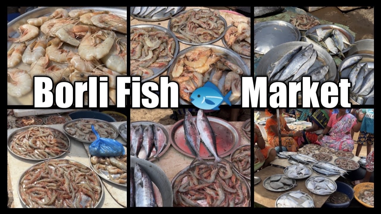 Borli Fish Market | Diveagar | Excellent Fish | Great Deal