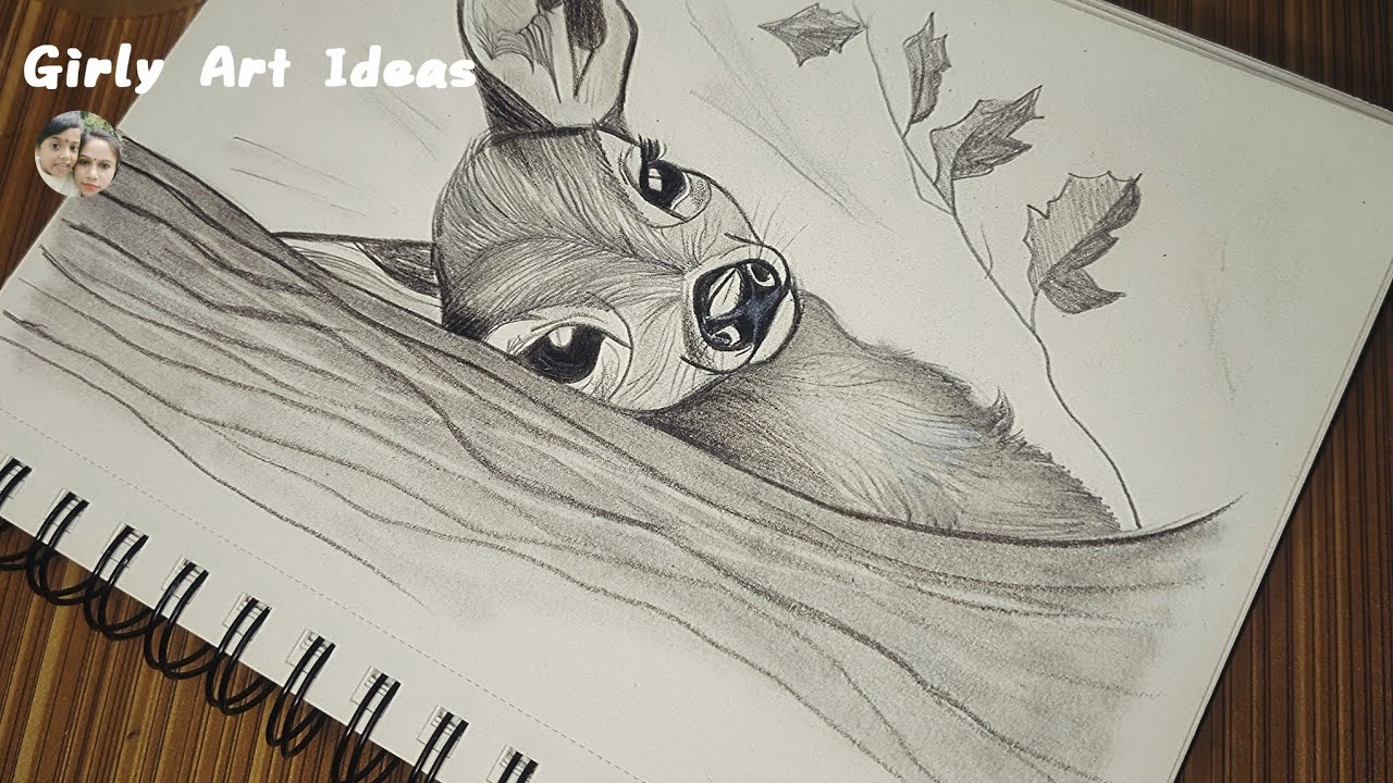 Baby Deer Pencil Sketch Drawing For Beginners/How To Draw Deer Easy Steps