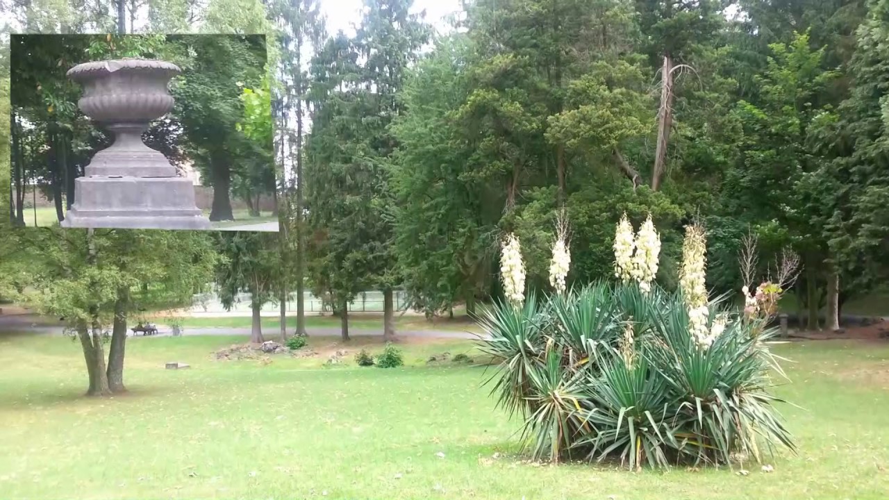 Parc Derbaix DE BINCHE Nature  Balade