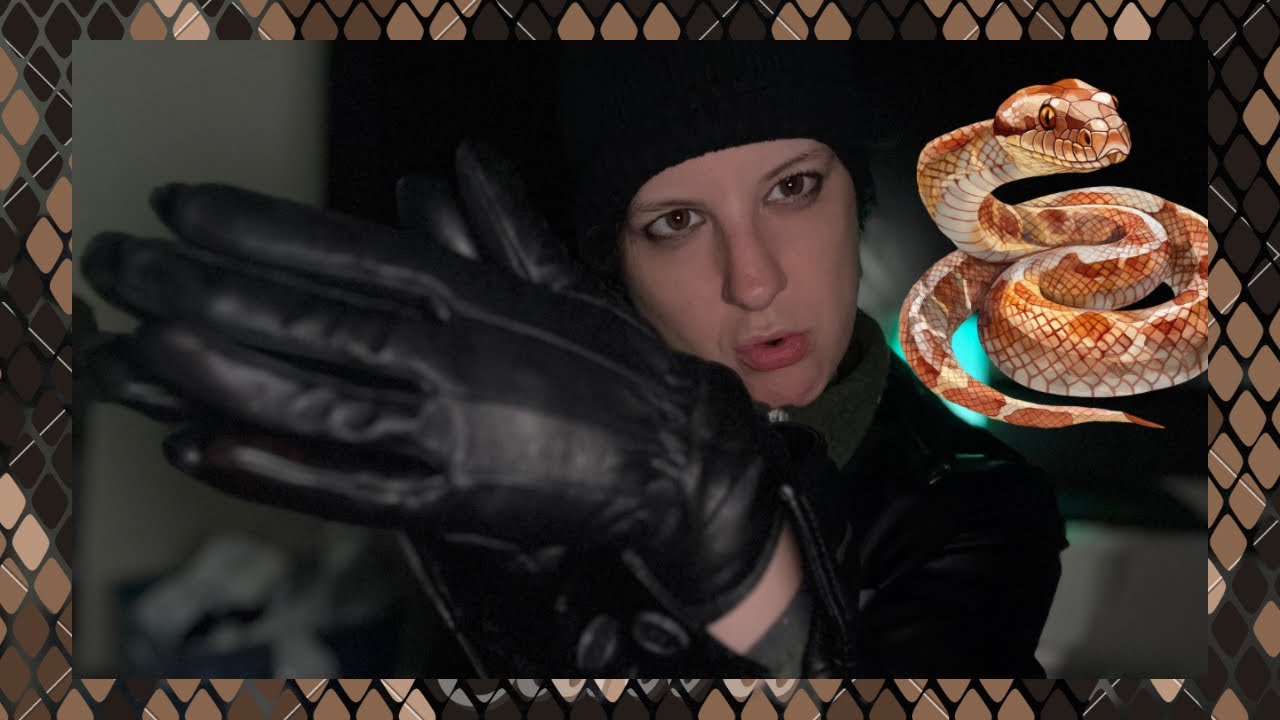Slithering Into Your Dreams: Sleepy ASMR