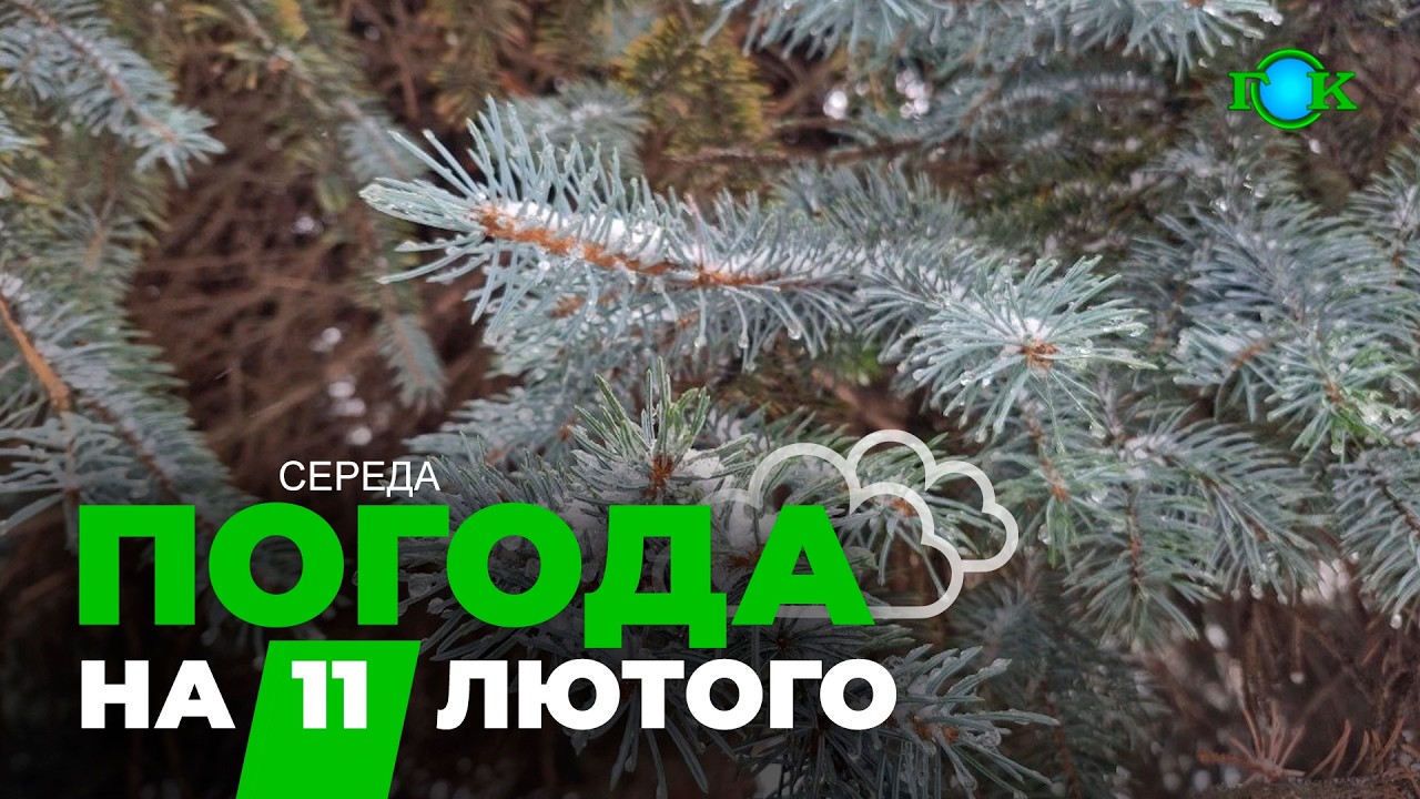 ⚡ Морози відступають? Якою буде погода в Україні 11 лютого