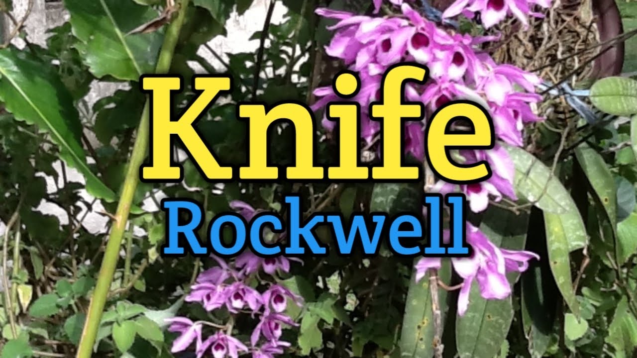 KNIFE - Rockwell (Lyrics Video)