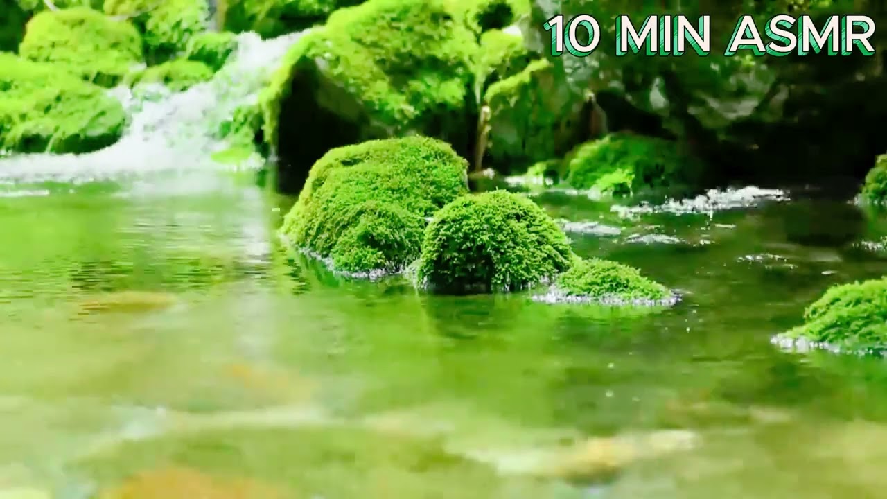 [10MIN ASMR - PART 2] Relaxing Water Sounds | Âm Thanh Tự Nhiên Giúp Ngủ Ngon & Giảm Stress