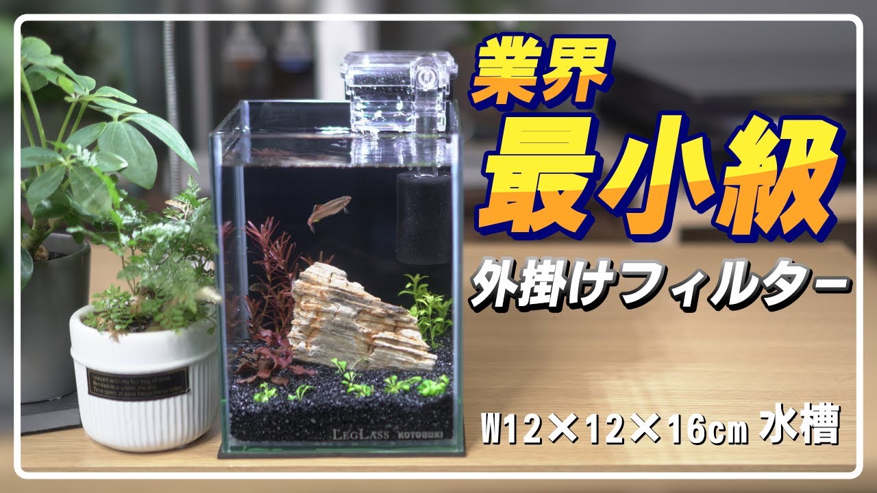【超小型水槽立ち上げ】省スペースで楽しむアクアリウム、超コンパクトなセットアップ！