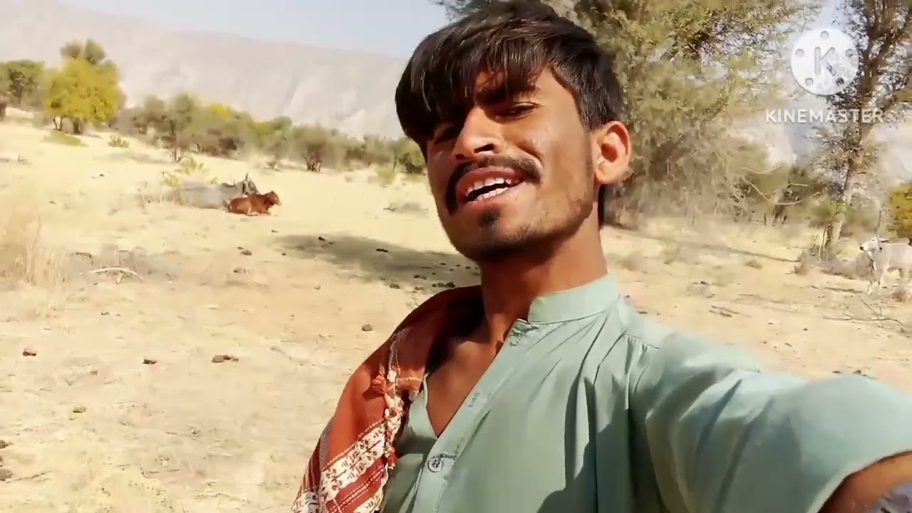 Roze Mein gay ke sath🥱🥱roz gay mere upar zulm Karte The Aaj Maine gay ke upar zulm Kiya #viralvideo