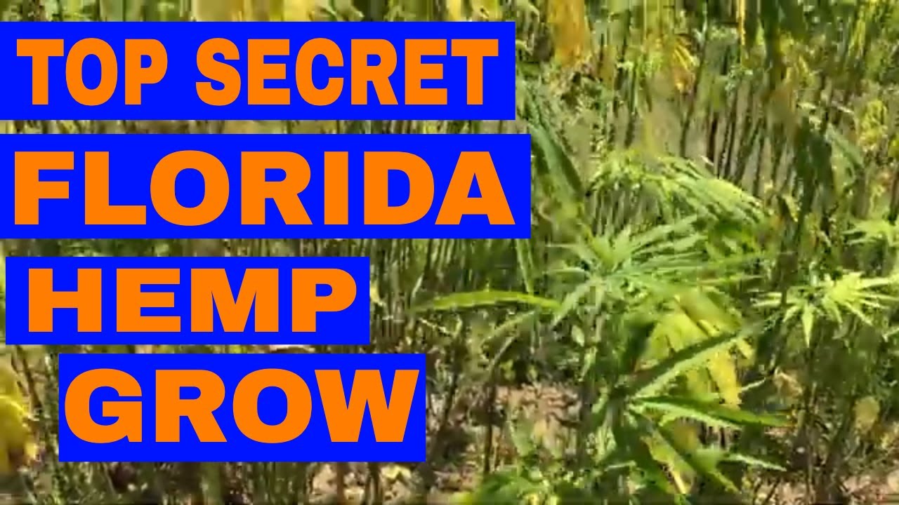 TOP SECRET FLORIDA HEMP GROW