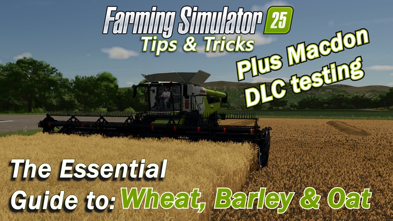 The Essential Guide to Wheat, Barley and Oats in Farming Simulator 25