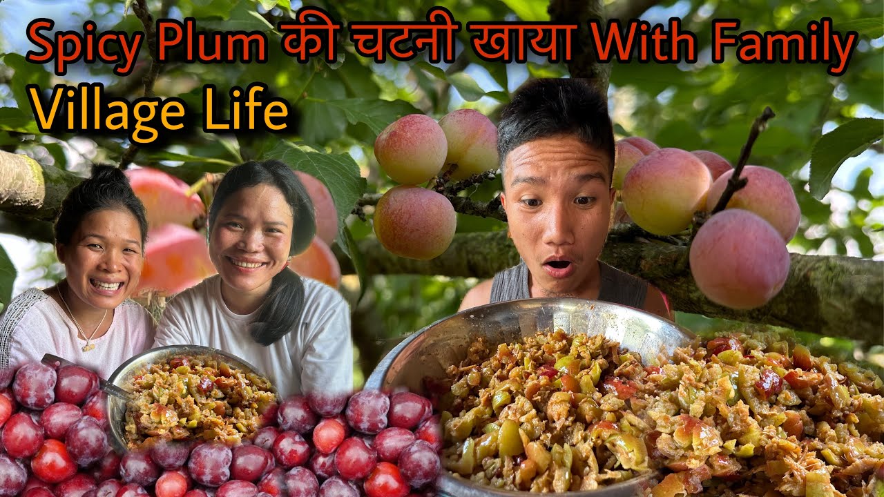 Spicy Plum 🤤 की चटनी खाया With Family 🥰 | Pregnant Wife होने का फ़ायदा 😅| My Old Life | Village Life