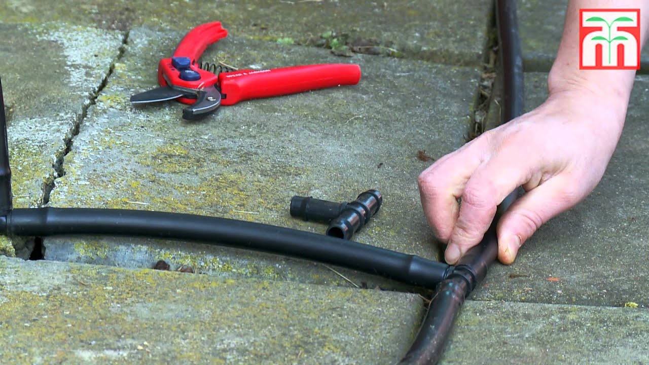 How to install an automated drip irrigation system video with Thompson & Morgan