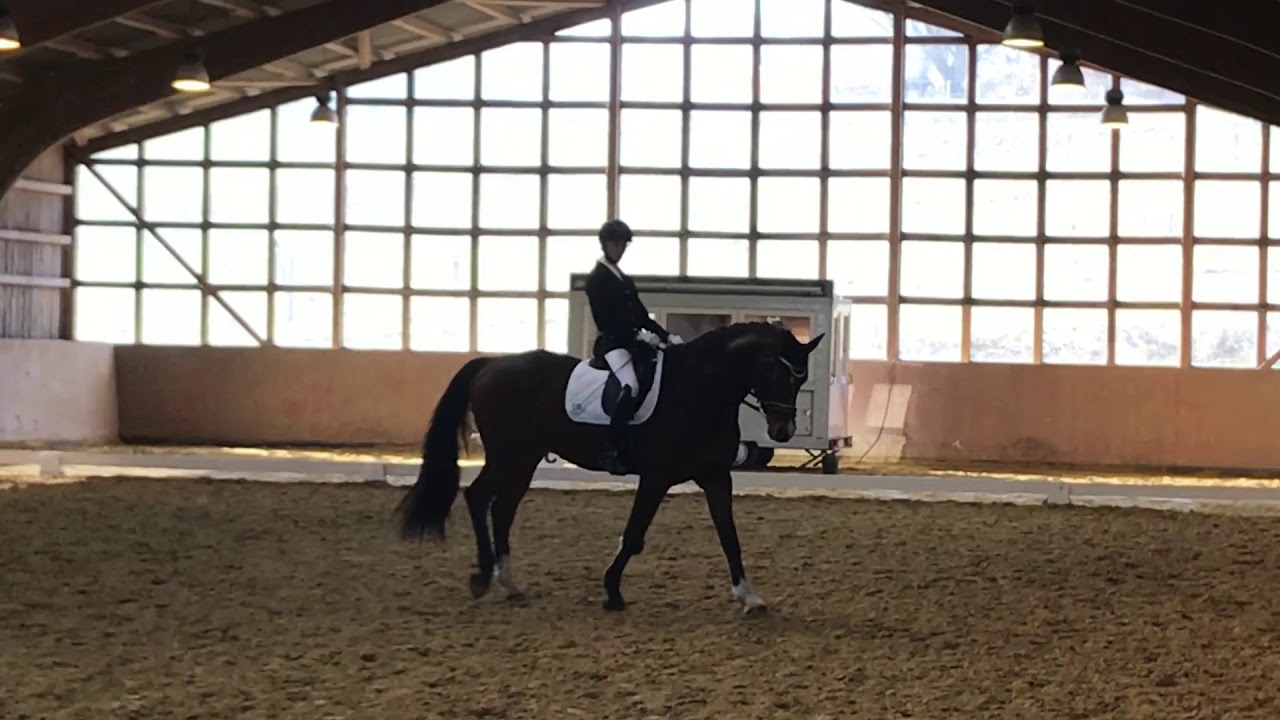 L* Dressur (L3) 2. Platz💞