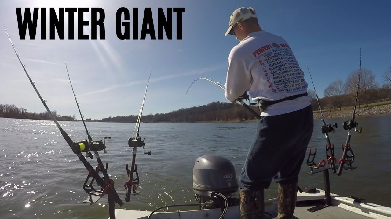 Ending the Year with a TANK of a Catfish!