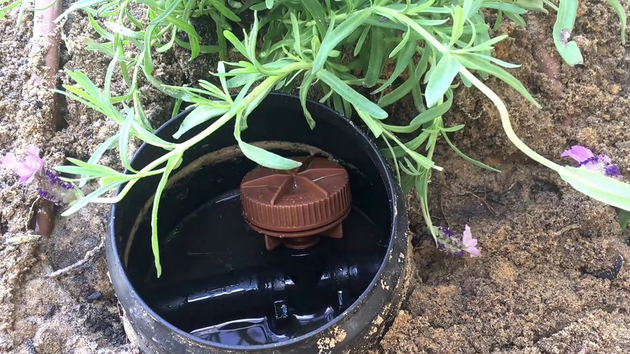 How your drip irrigation flush works