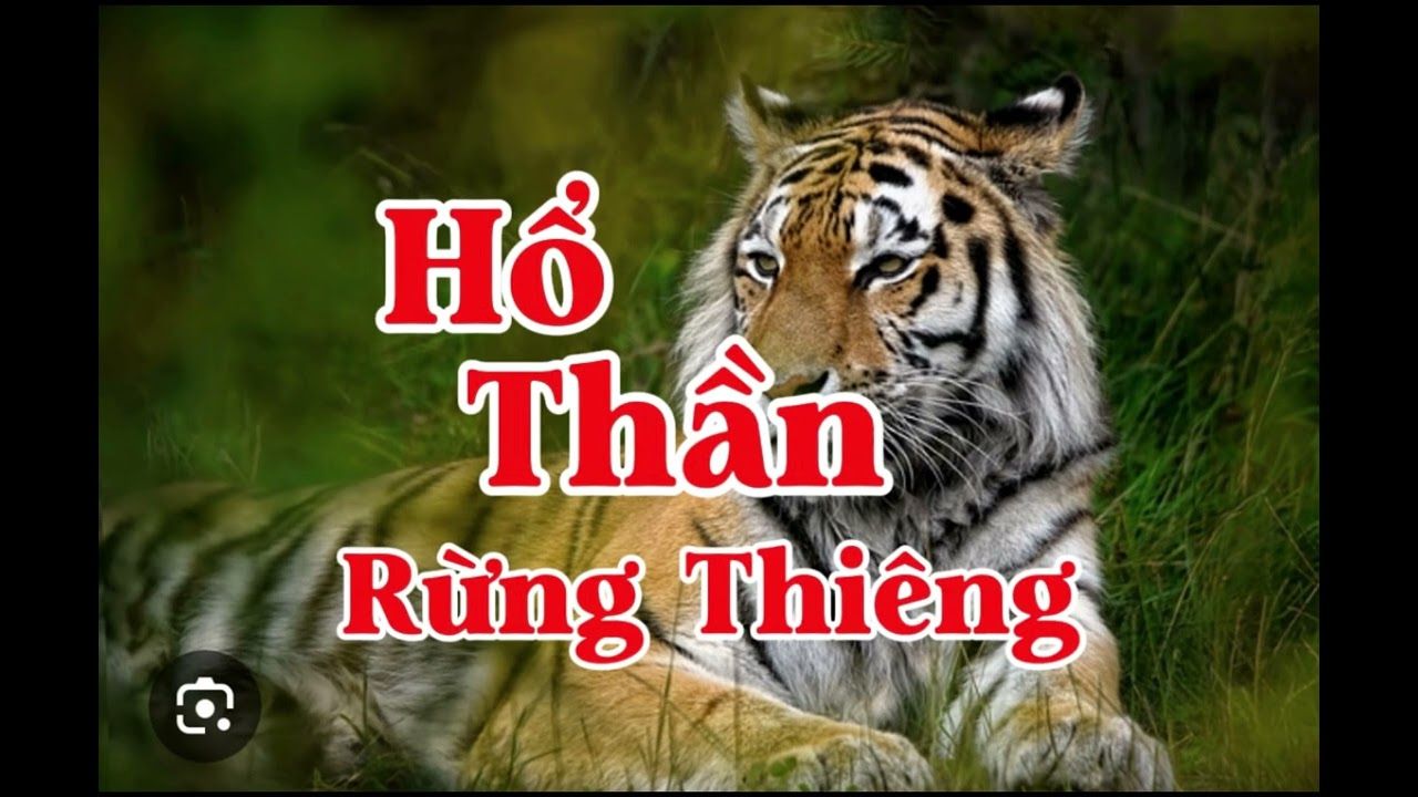 HỔ THẦN RỪNG THIÊNG | Lê Anh diễn đọc 