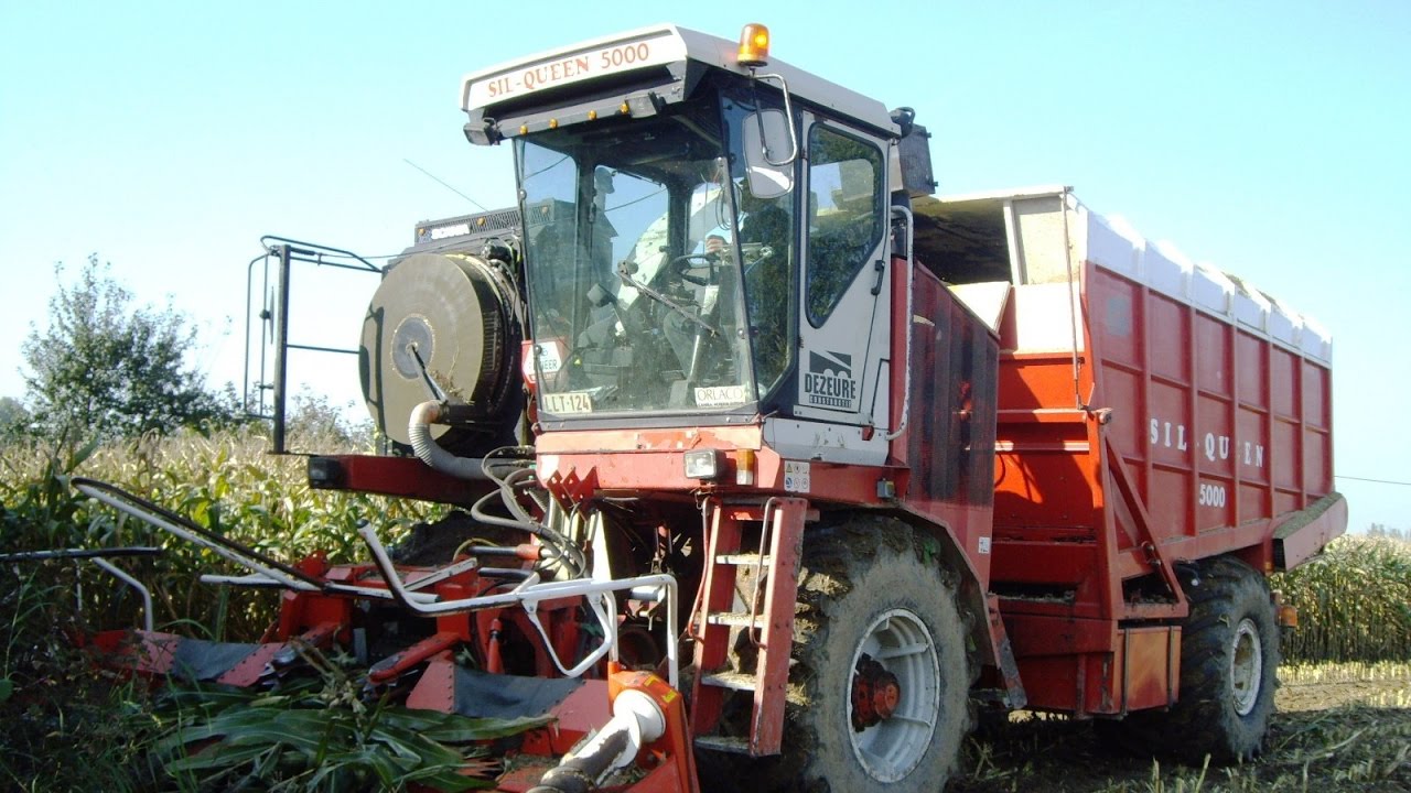 Loonw. Dezeure - Beauvoorde - Sil Queen 5000