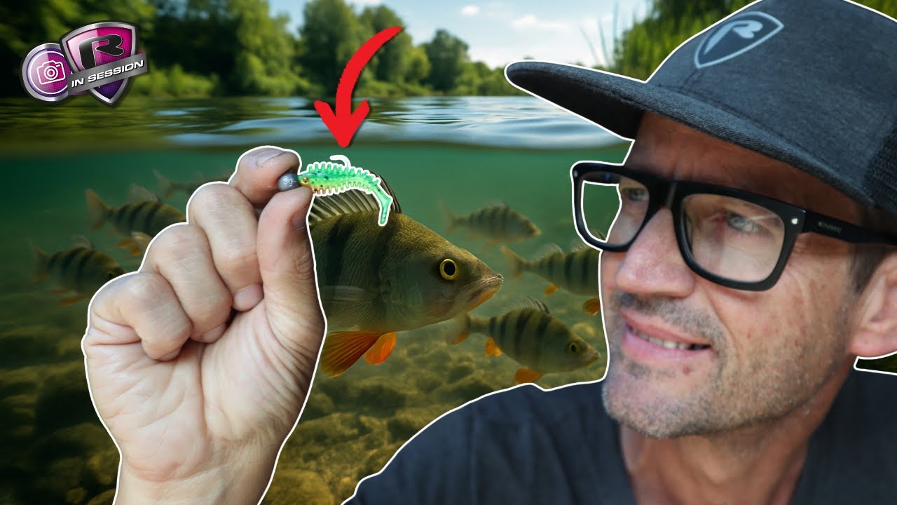 No Experience? No Problem | Summer Perch Made Easy | How to catch on Micro Lures with Nick Marsh