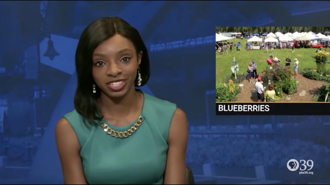 Reporter Anchor Reel - Staci Inez - News Reel - Reporter - Anchor - 2021