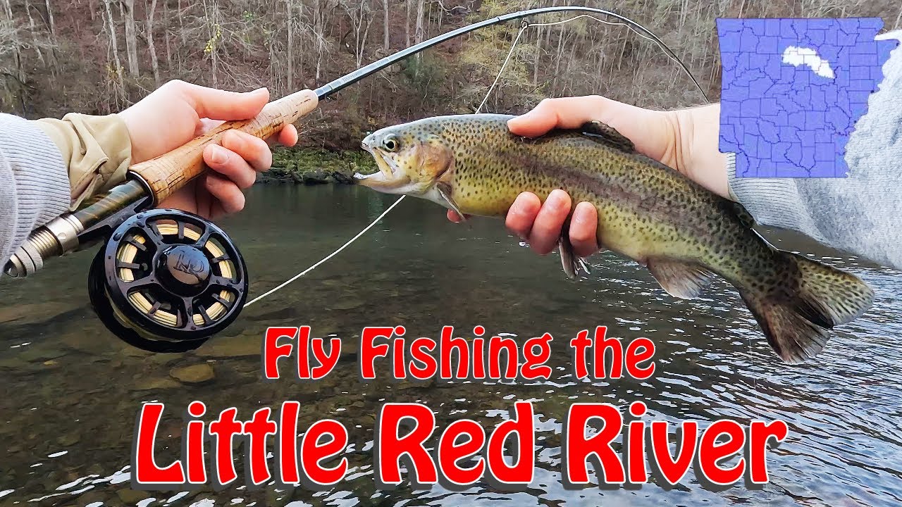 TROUT fishing on the LITTLE RED RIVER | Arkansas Fly Fishing
