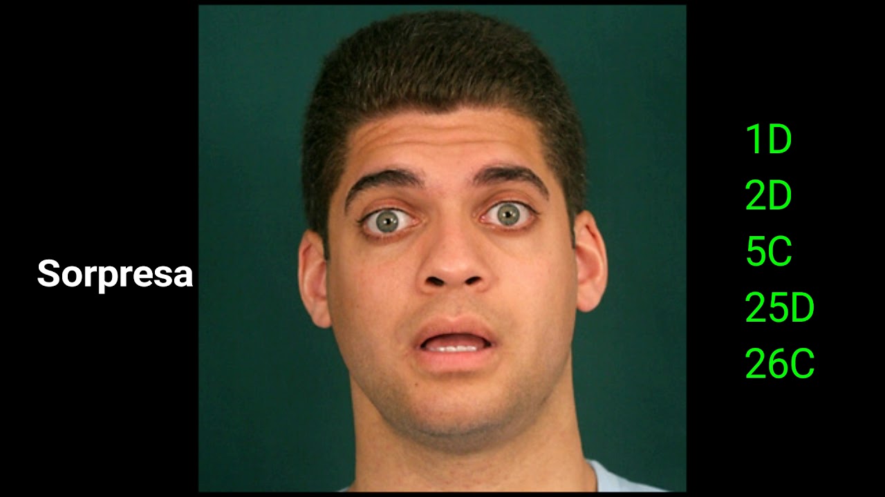 Facial Action Coding System (FACS)