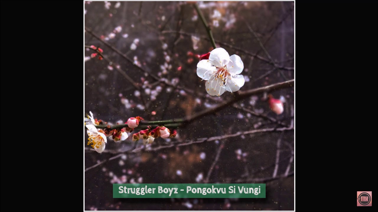 Struggler Boyz - Pongokvu Si Vungi (Audio)